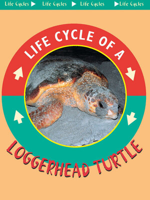 cover image of Loggerhead Turtle
